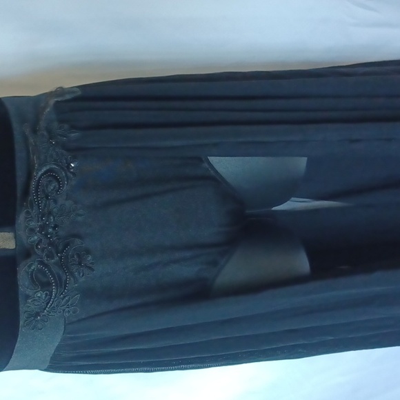 Weissman Child XLarge Lyrical Costume, velvet top, sheer open front skirt Black - Picture 3 of 8